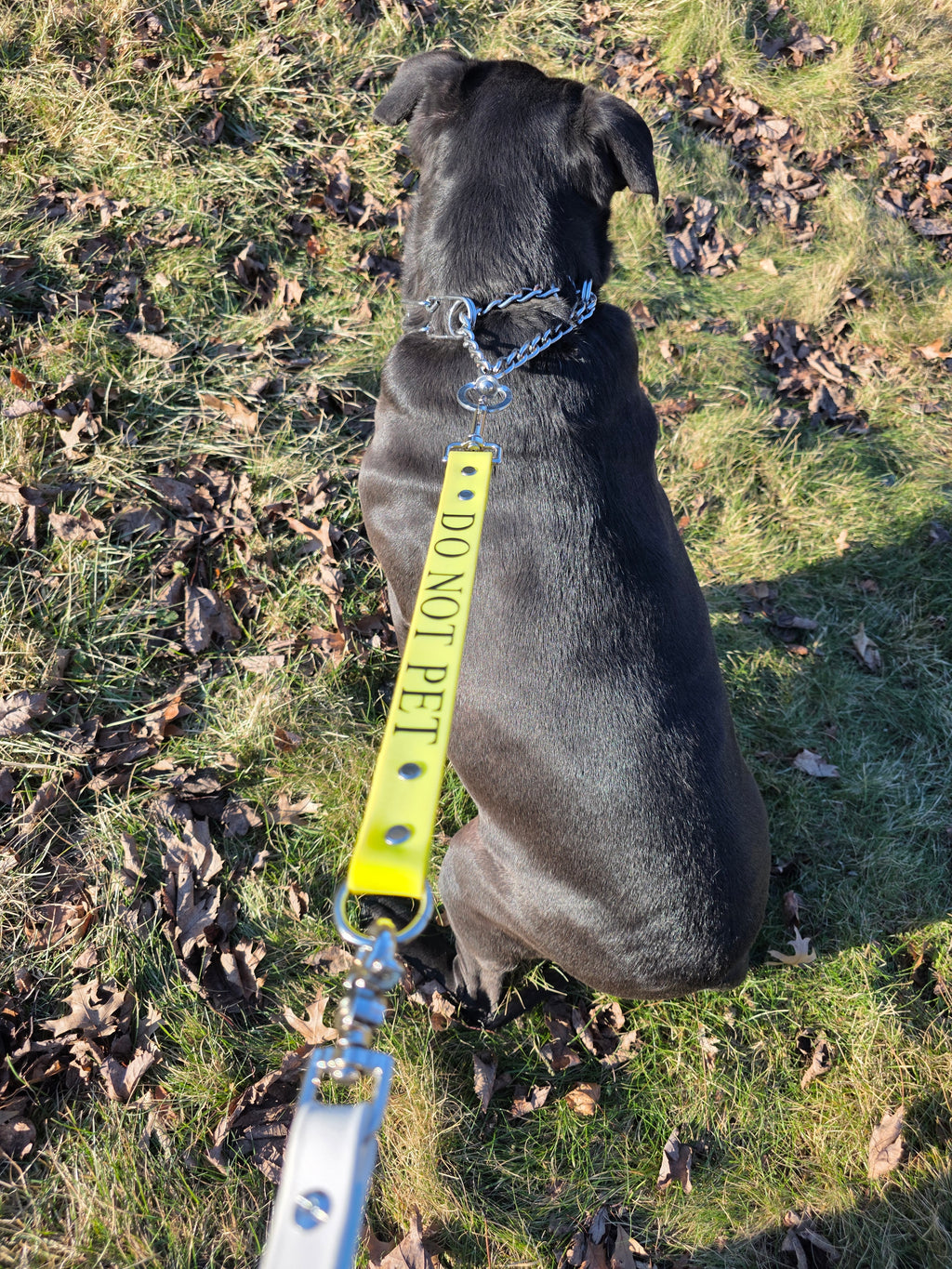 Titan Command Leash Extender