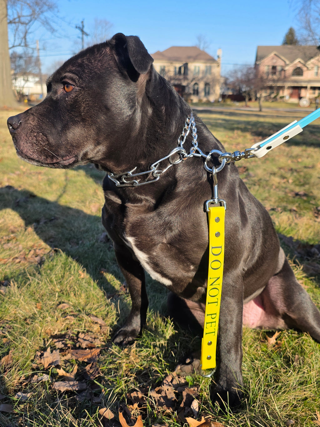 Titan Command Leash Extender