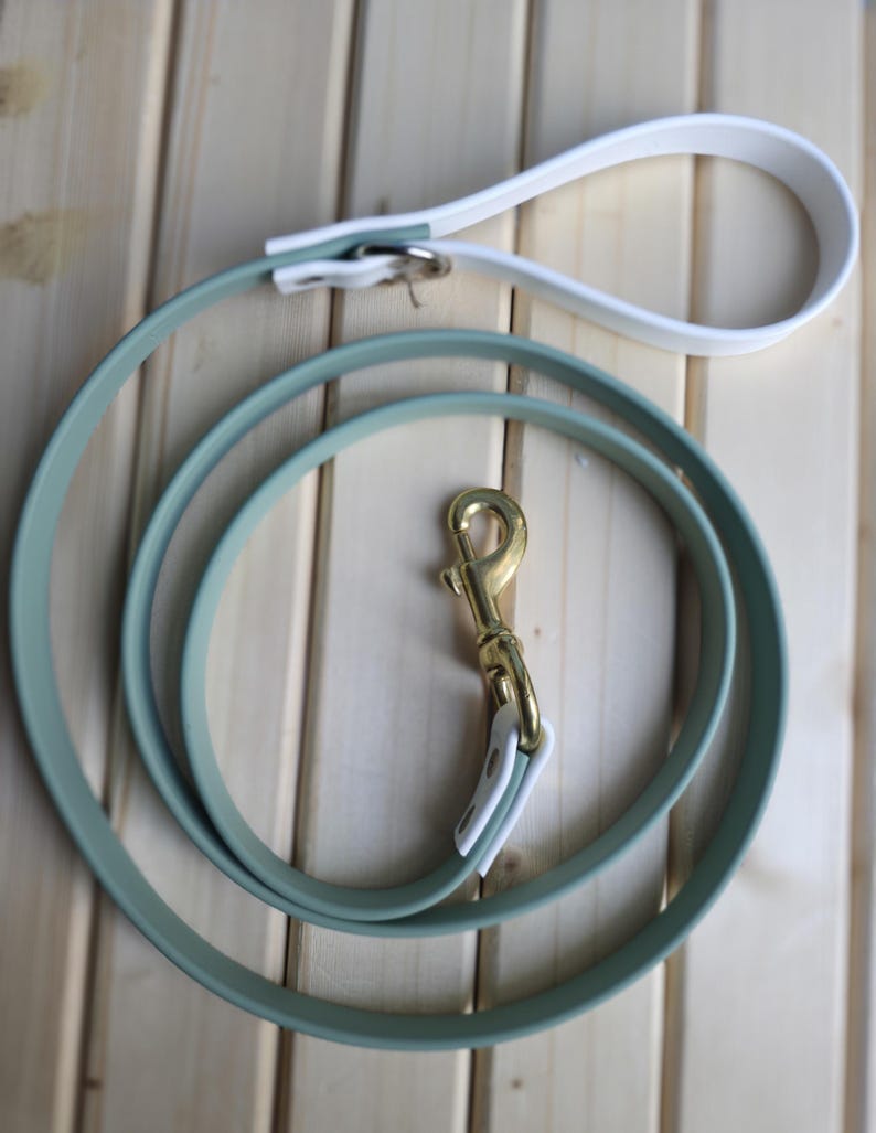 Bravo Unit Dual Color Leash