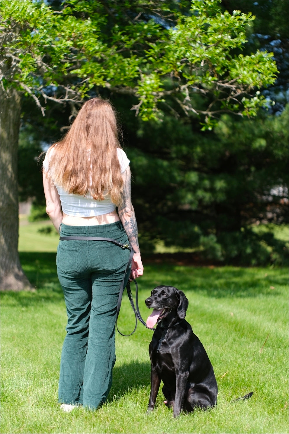 AlphaGrip Hands Free Leash