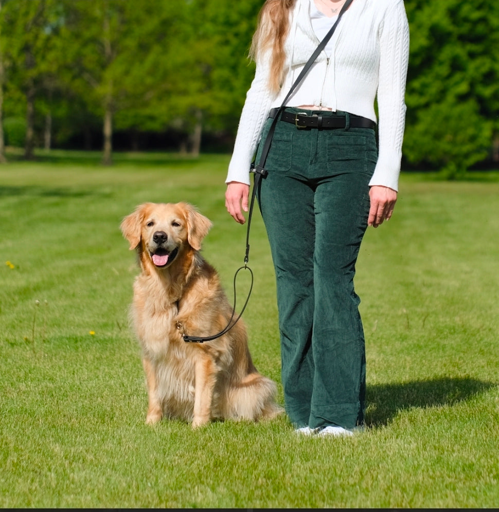 AlphaGrip Hands Free Leash